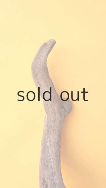 画像3: 変形流木 (3)