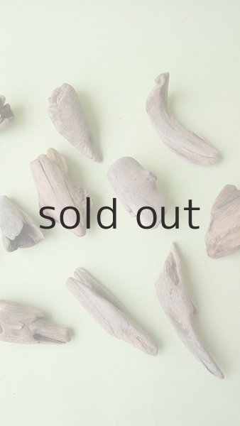 画像3: 変形流木セット (3)