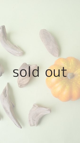 画像4: 変形流木セット (4)