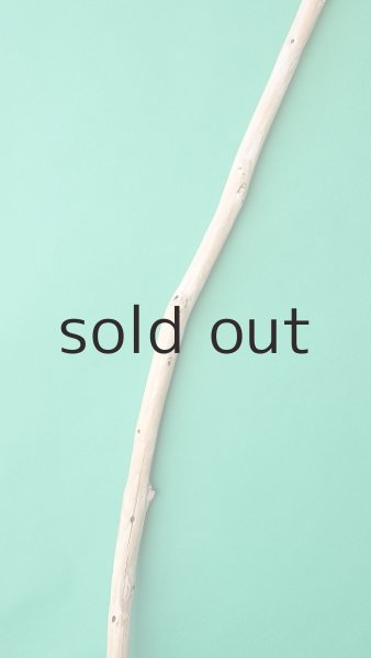 画像3: 棒流木 (3)