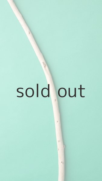 画像3: 棒流木 (3)