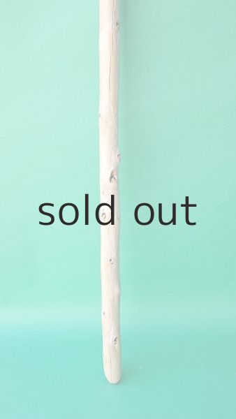 画像2: 棒流木 (2)