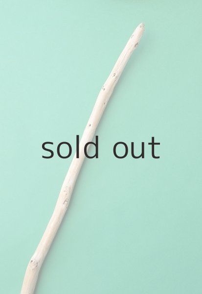 画像4: 棒流木 (4)