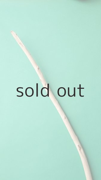 画像4: 棒流木 (4)