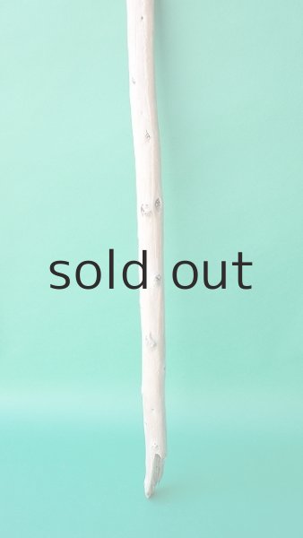 画像2: 棒流木 (2)