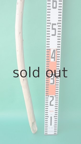 画像5: 棒流木 (5)