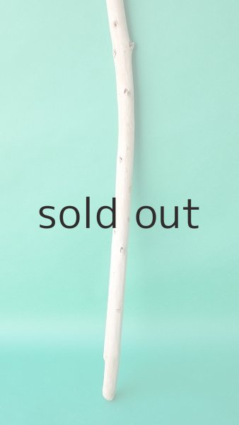 画像2: 棒流木 (2)