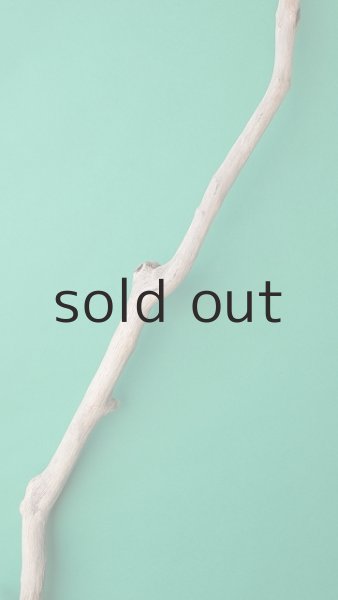 画像4: 幹流木 (4)