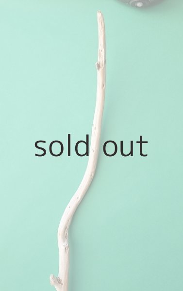 画像4: 棒流木 (4)