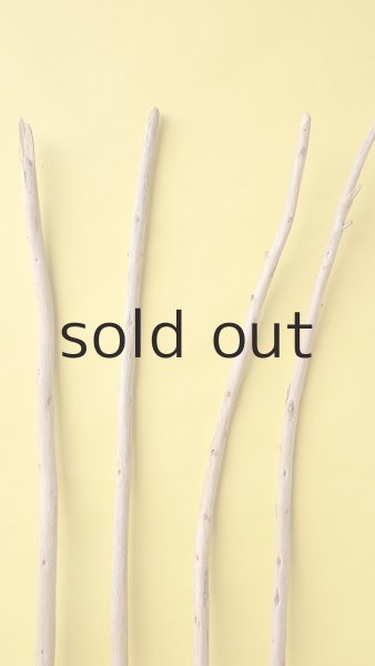 画像3: 棒流木セット (3)