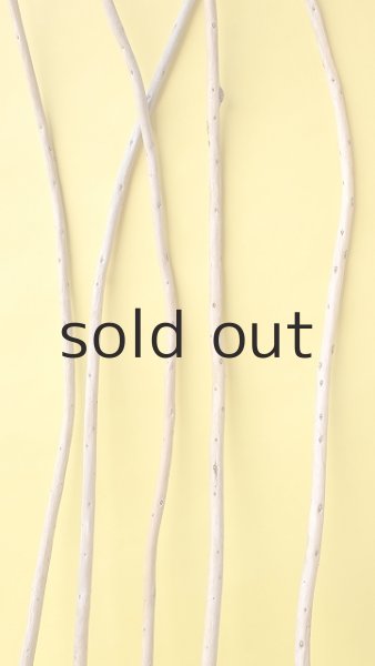 画像4: 棒流木セット (4)