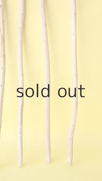 画像3: 棒流木セット (3)