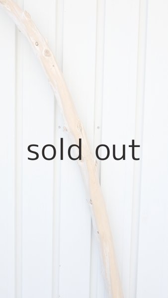 画像4: 幹流木・長尺 (4)