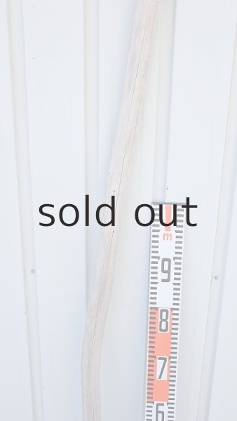 画像7: 棒流木・長尺 (7)