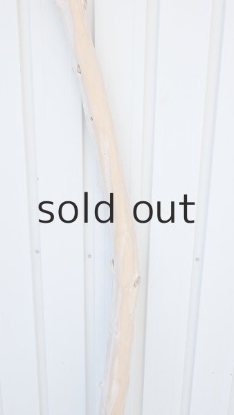 画像3: 幹流木・長尺 (3)