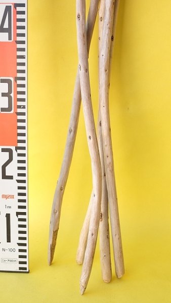 画像6: 棒流木セット (6)