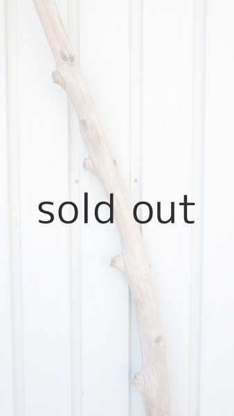 画像4: 幹流木・長尺 (4)