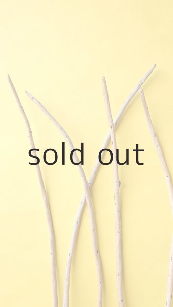 画像5: 棒流木セット (5)