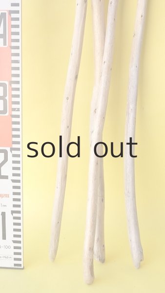 画像5: 棒流木セット (5)