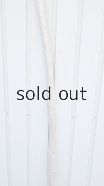 画像3: 棒流木・長尺 (3)