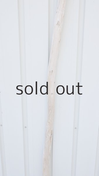 画像3: 棒流木・長尺 (3)