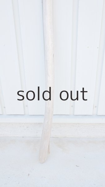 画像2: 棒流木・長尺 (2)