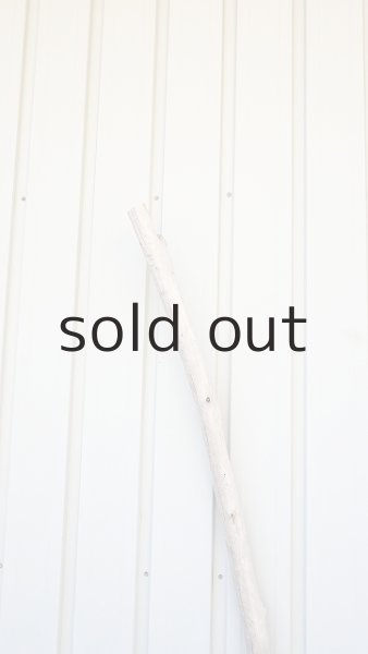 画像5: 棒流木・長尺 (5)