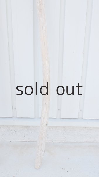 画像6: 棒流木・長尺 (6)