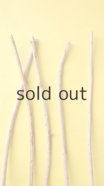 画像4: 棒流木セット (4)