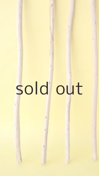 画像2: 棒流木セット (2)