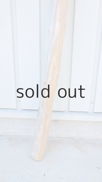 画像2: 幹流木・長尺 (2)