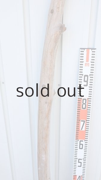 画像7: 幹流木・長尺 (7)