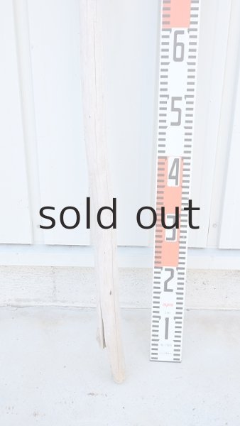 画像6: 棒流木・長尺 (6)