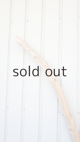 画像5: 幹流木・長尺 (5)