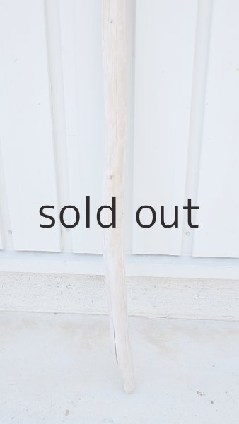 画像2: 棒流木・長尺 (2)