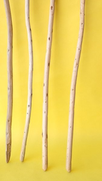 画像3: 棒流木セット (3)