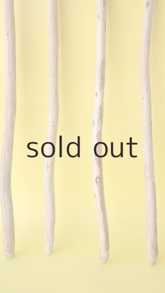 画像2: 棒流木セット (2)