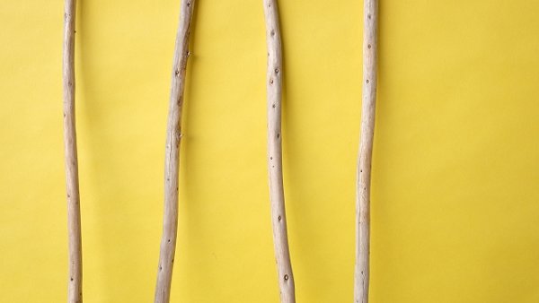 画像3: 棒流木セット (3)