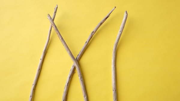 画像4: 棒流木セット (4)