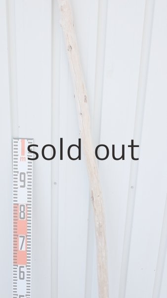 画像7: 棒流木・長尺 (7)