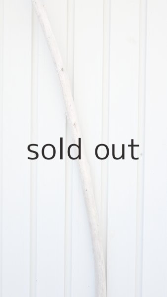 画像4: 棒流木・長尺 (4)