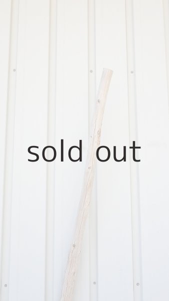 画像5: 棒流木・長尺 (5)