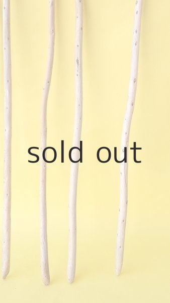 画像3: 棒流木セット (3)