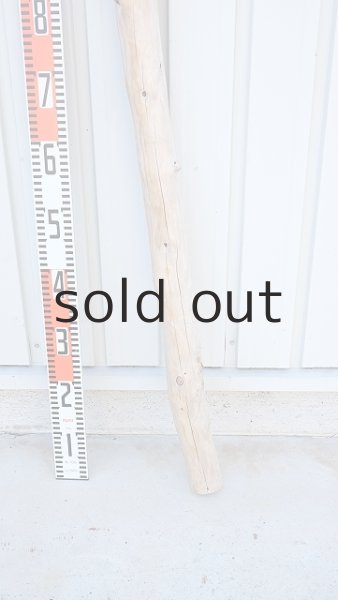 画像6: 幹流木・長尺 (6)