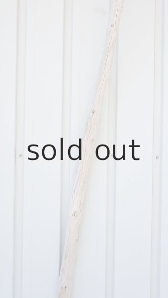 画像4: 棒流木・長尺 (4)