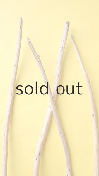 画像4: 棒流木セット (4)