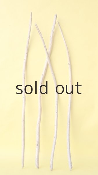 画像2: 棒流木セット (2)