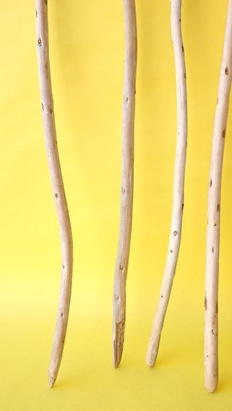 画像2: 棒流木セット (2)