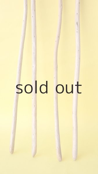 画像2: 棒流木セット (2)