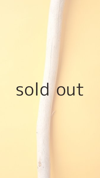 画像3: 棒流木 (3)